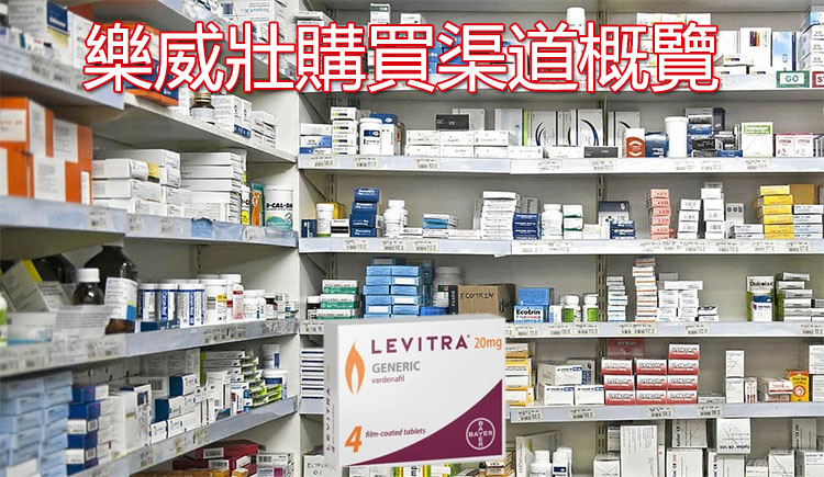 樂威壯藥品外觀與購買渠道概覽圖