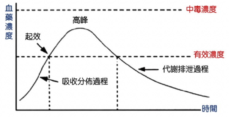 犀利士藥物在體內的積累效應說明