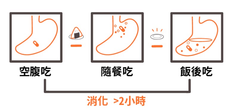 空腹服藥與餐前服藥差異比較