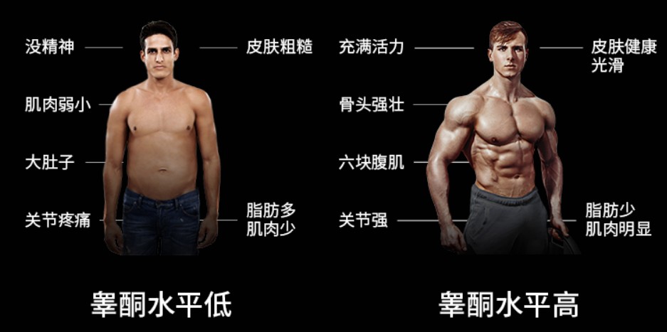男性睪固酮低下影響性慾示意圖