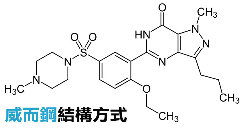 威而鋼學名藥西地那非成分與藥效機制解析圖