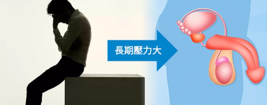 心因性陽痿成因解析圖：說明心理壓力、焦慮等因素如何影響男性勃起功能