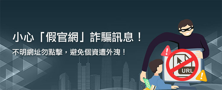 台灣市場Vinix假官網與山寨網站辨識方法