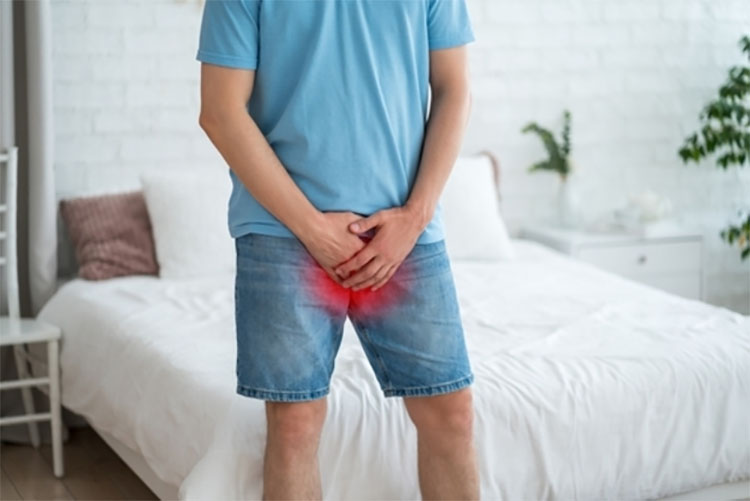 持續勃起症（Priapism）醫療說明圖